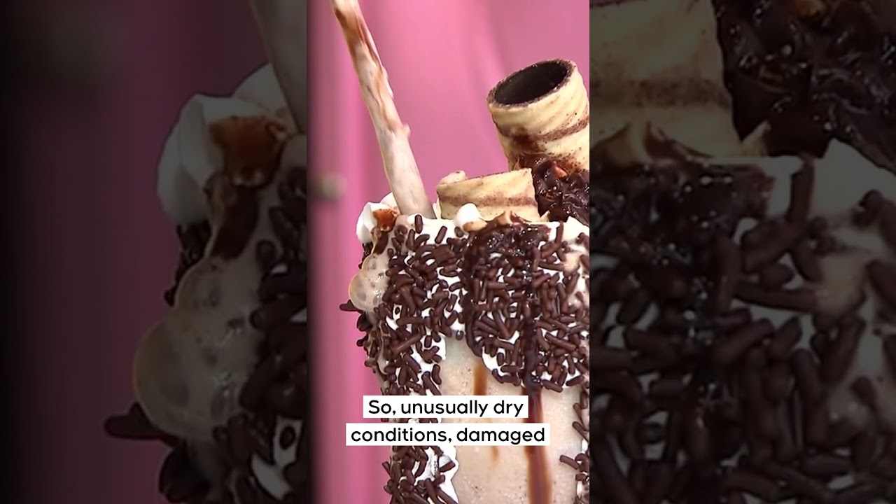 Sugar prices on the rise | Your Morning