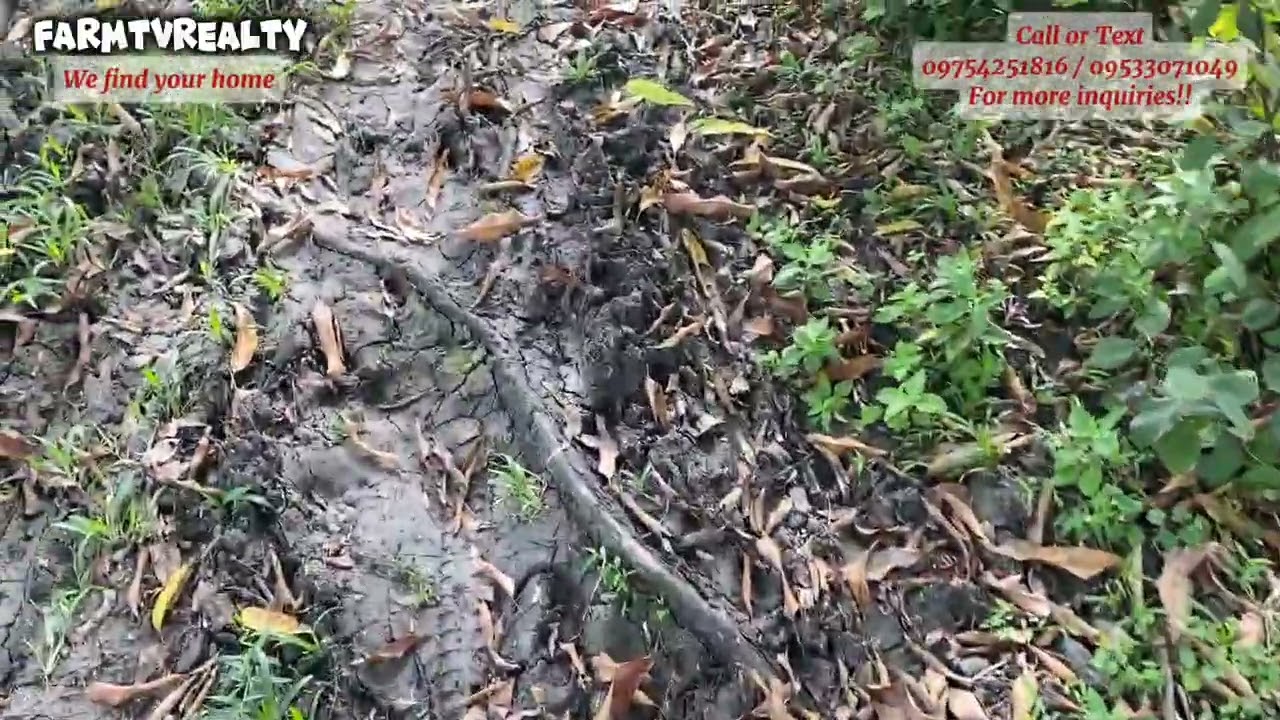 VLOG #112 PROPERTY NA NIYUGAN 9.4has SA GENERAL LUNA QUEZON (see description)