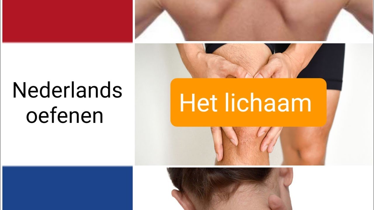 Het lichaam - (body parts) - woordenschat - Nederlands leren - NT2 - learning Dutch
