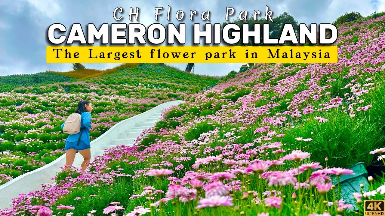Cameron Highlands Flora Park - The Most Beautiful Flower Garden in Malaysia