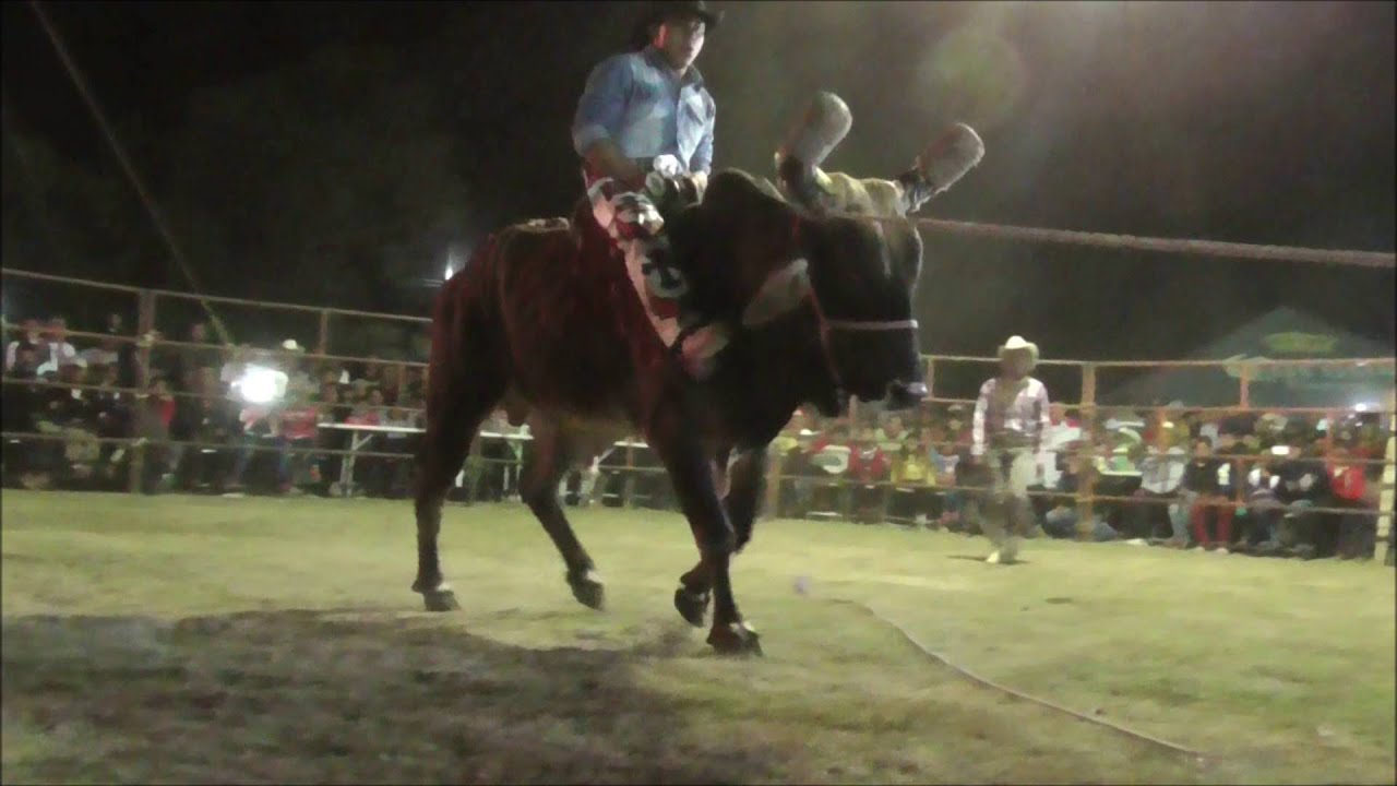Jaripe 2016 Xayacatlán. Completo. 12 toros.