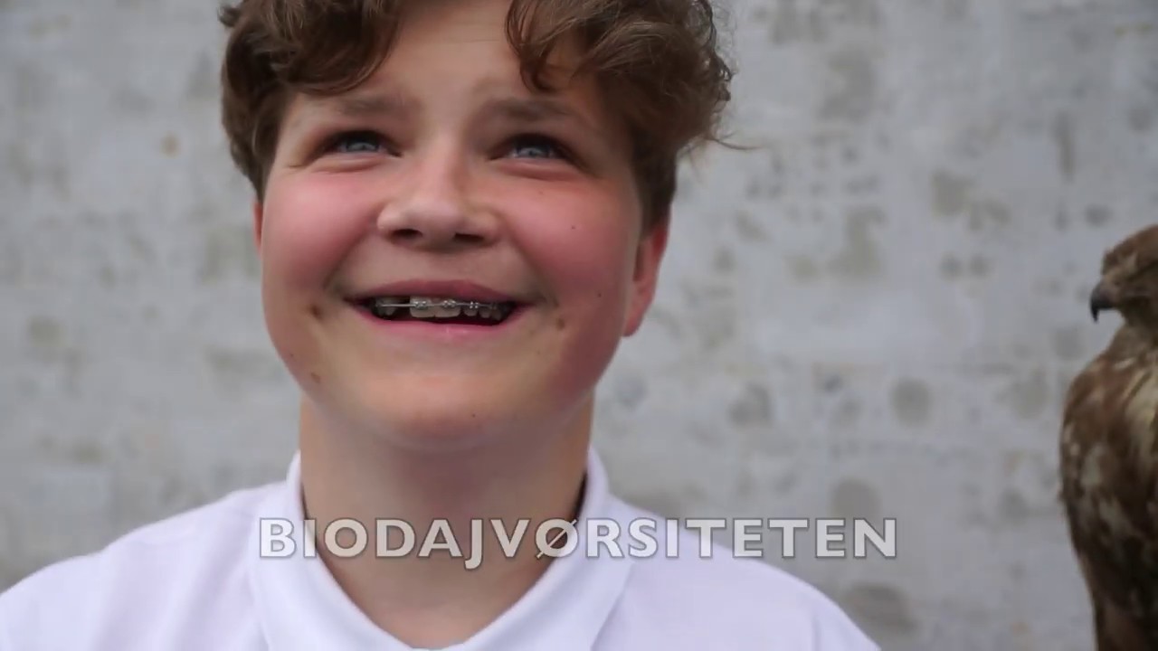 Biodiversitet