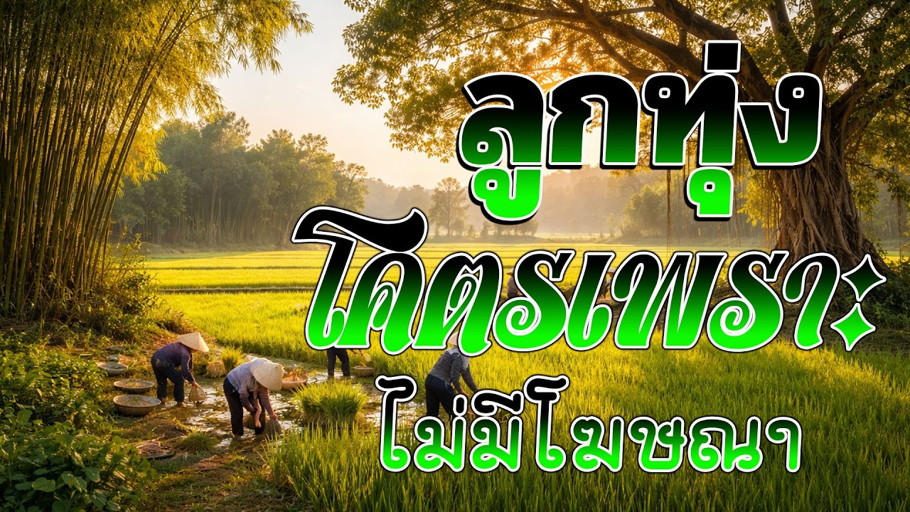 ลูกทุ่งเพลงเพราะมาก : รวมเพลง ลูกทุ่งฮิตที่สุด ฟังต่อเนื่อง ไม่มีโฆษณา #เบสแน่น#เบสหนัก#ลูกทุ่ง