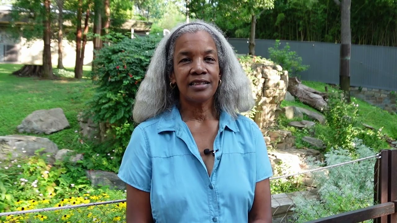 Women Creating Conservation: Lisa Stevens