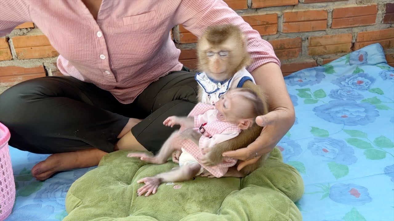 Little Spoiled Emma Throwing Tantrum On Sara While Waiting Milk