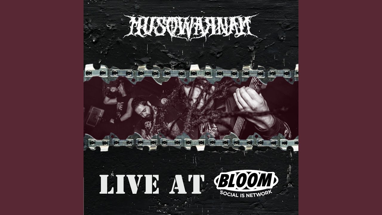 Screams From The Cellar (Live at Bloom)