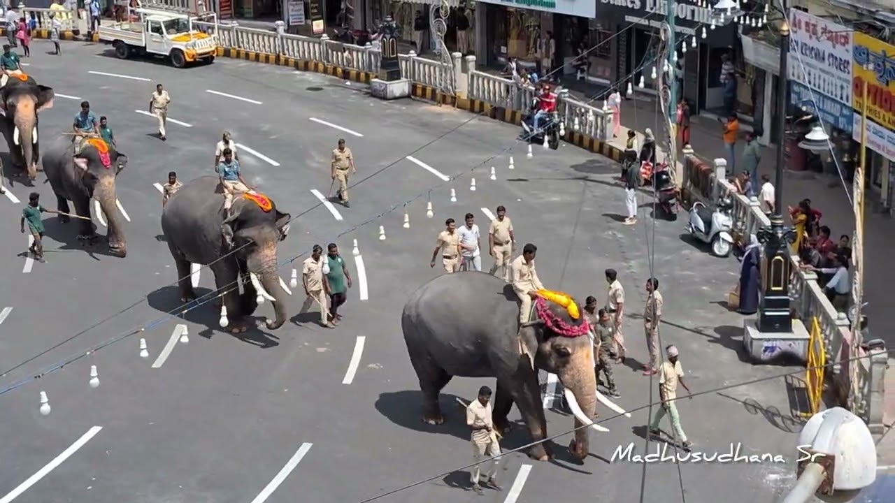 Ariel view of Dasara elephants parade at kr circle Mysore