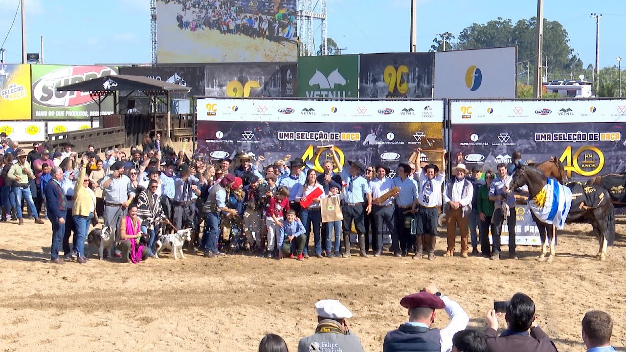 Colibri Matrero - Tricampeão do Freio de Ouro em 2022