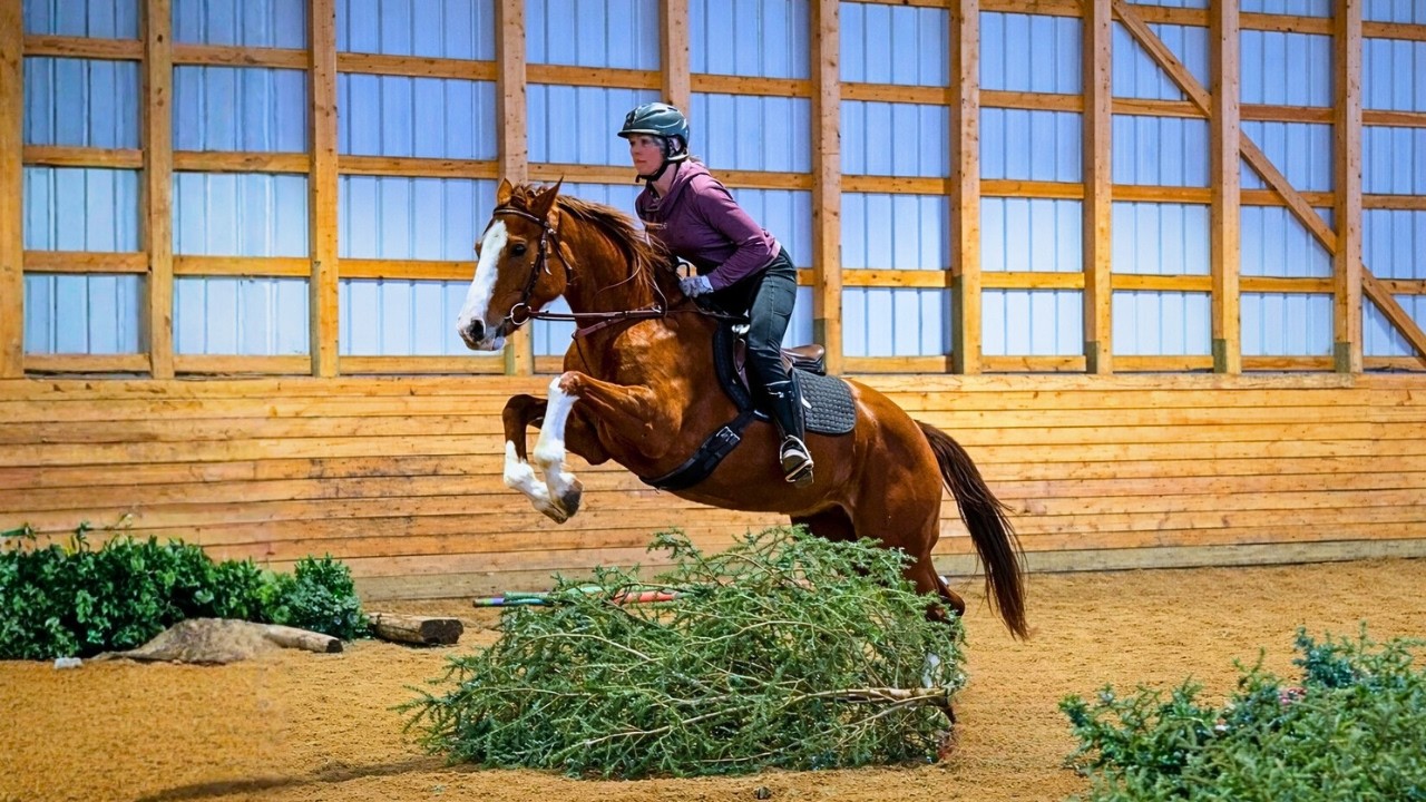 Школа прыжков First Jump School после перерыва (Phantom OTTB)