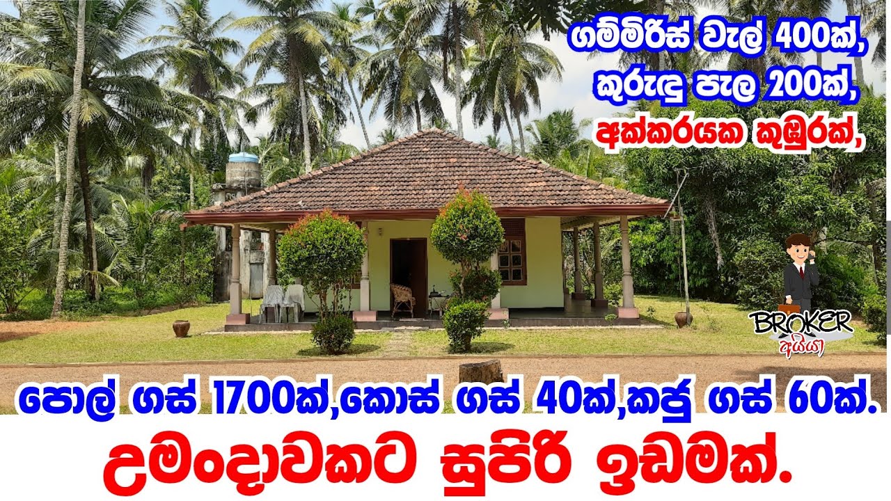 Coconut land for sale in sri lanka/Coconut Land for sale in pannala/kurunegala pol idam/Lankawe pol