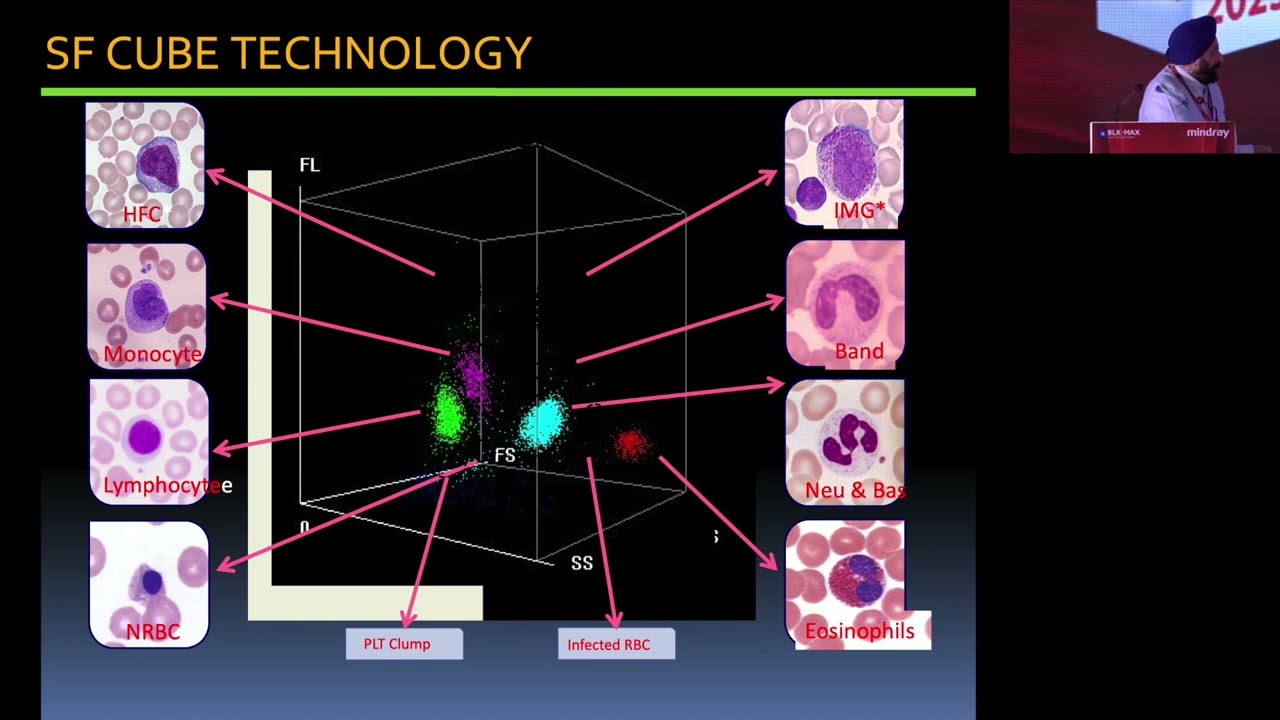 Hemocytomorphometry Explained: Analyzing Scattergrams and Histograms - A case based approach