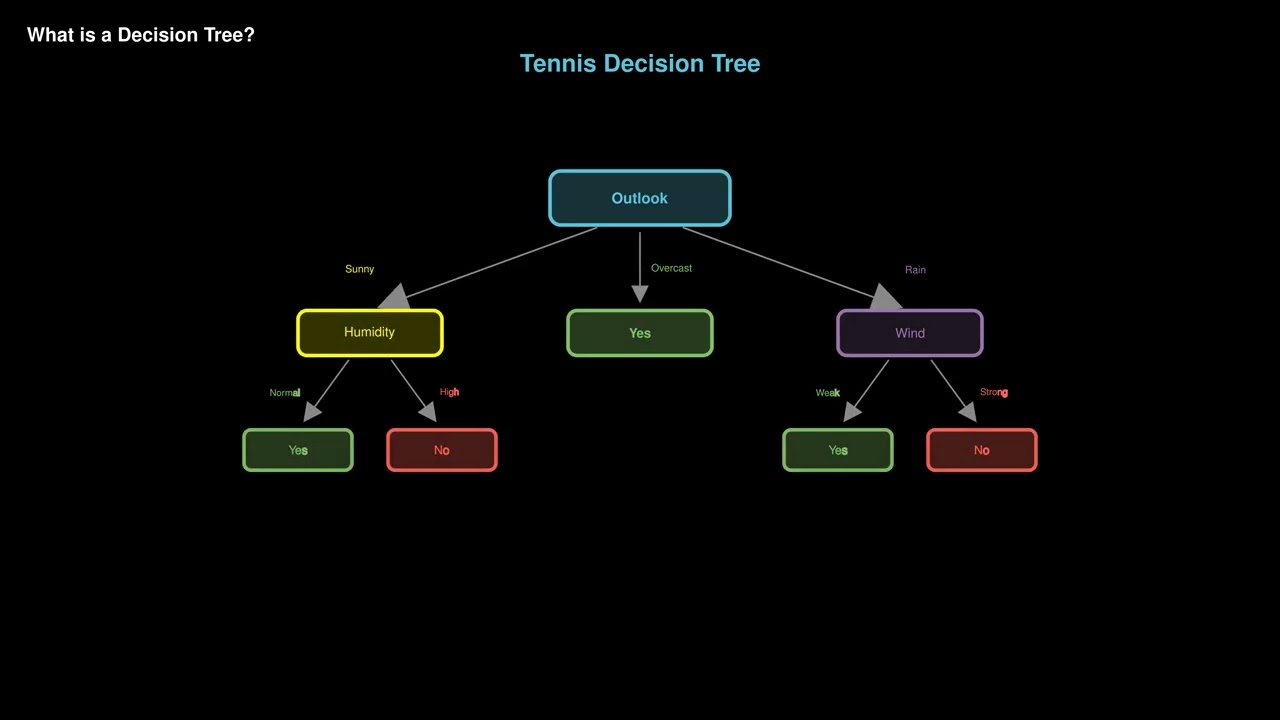 What Is a Decision Tree? | Module 2 Ep 1