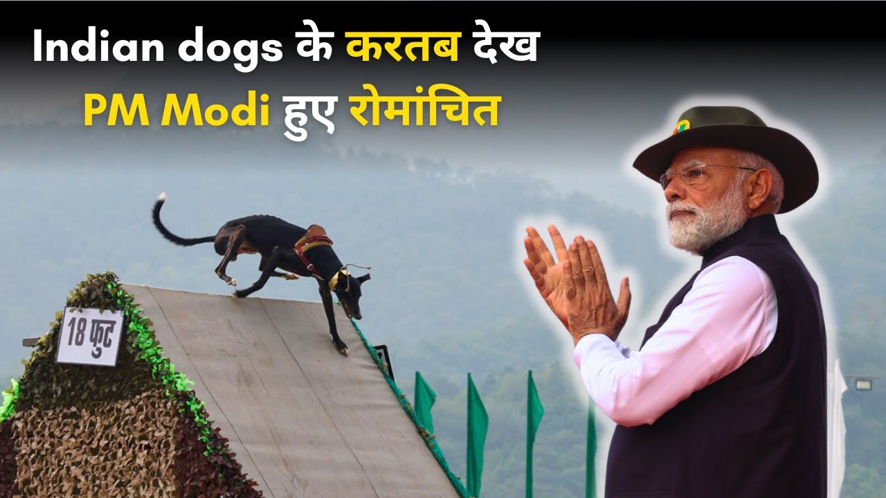 PM Modi Watches BSF Indian Breed Dog Squad Stunts