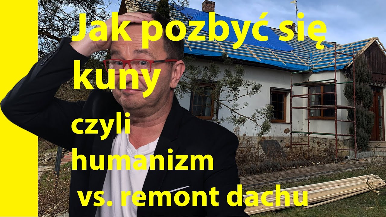 Poradnik Ebenisty 31 #Jak pozbyć się kuny czyli humanizm vs. remont dachu