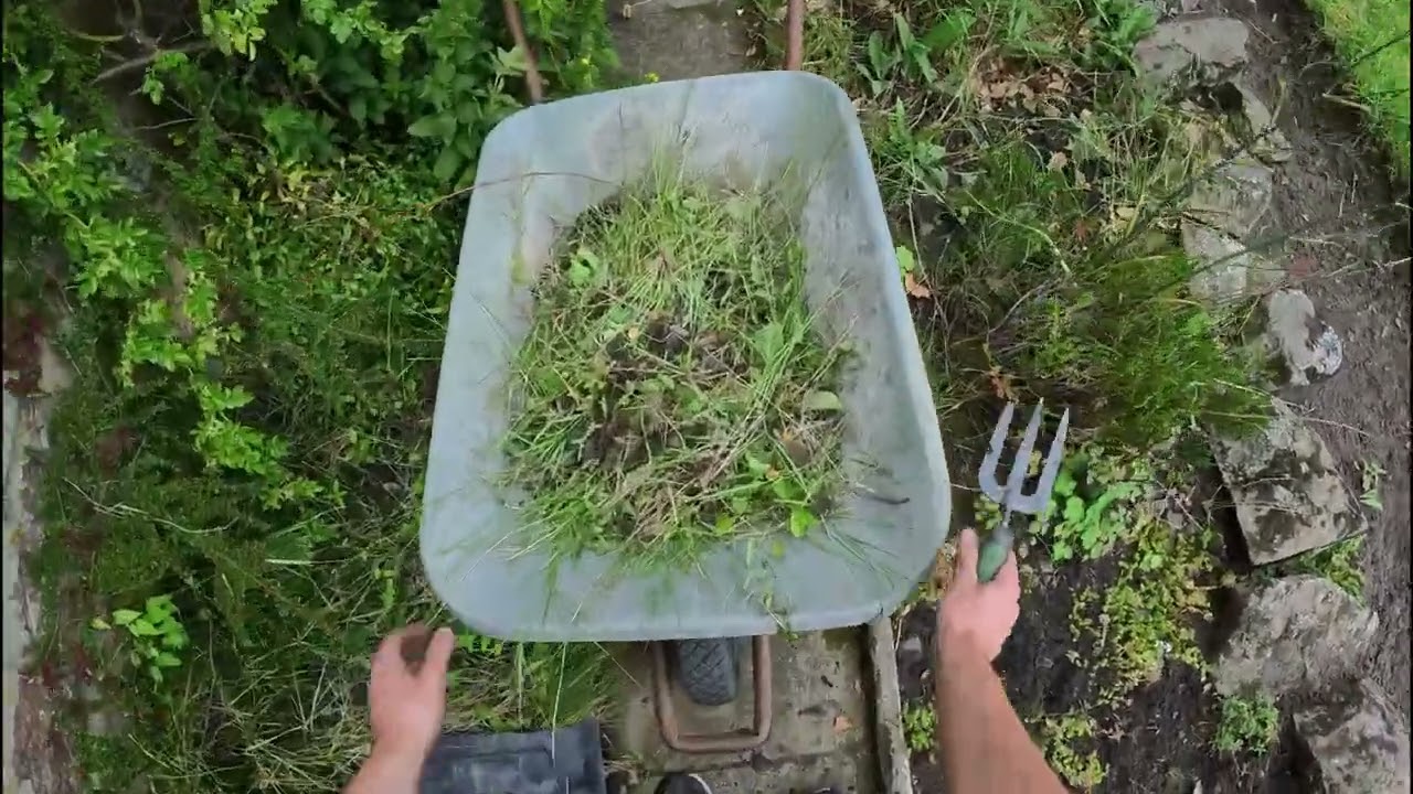 ASMR: The Satisfying Pull of Every Weed
