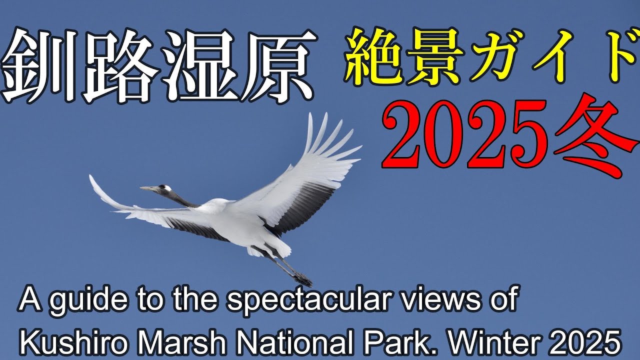 釧路湿原絶景ガイド2025冬　＃釧路湿原　＃釧路湿原国立公園　＃絶景　＃絶景スポット　＃タンチョウ　＃北海道　＃冬