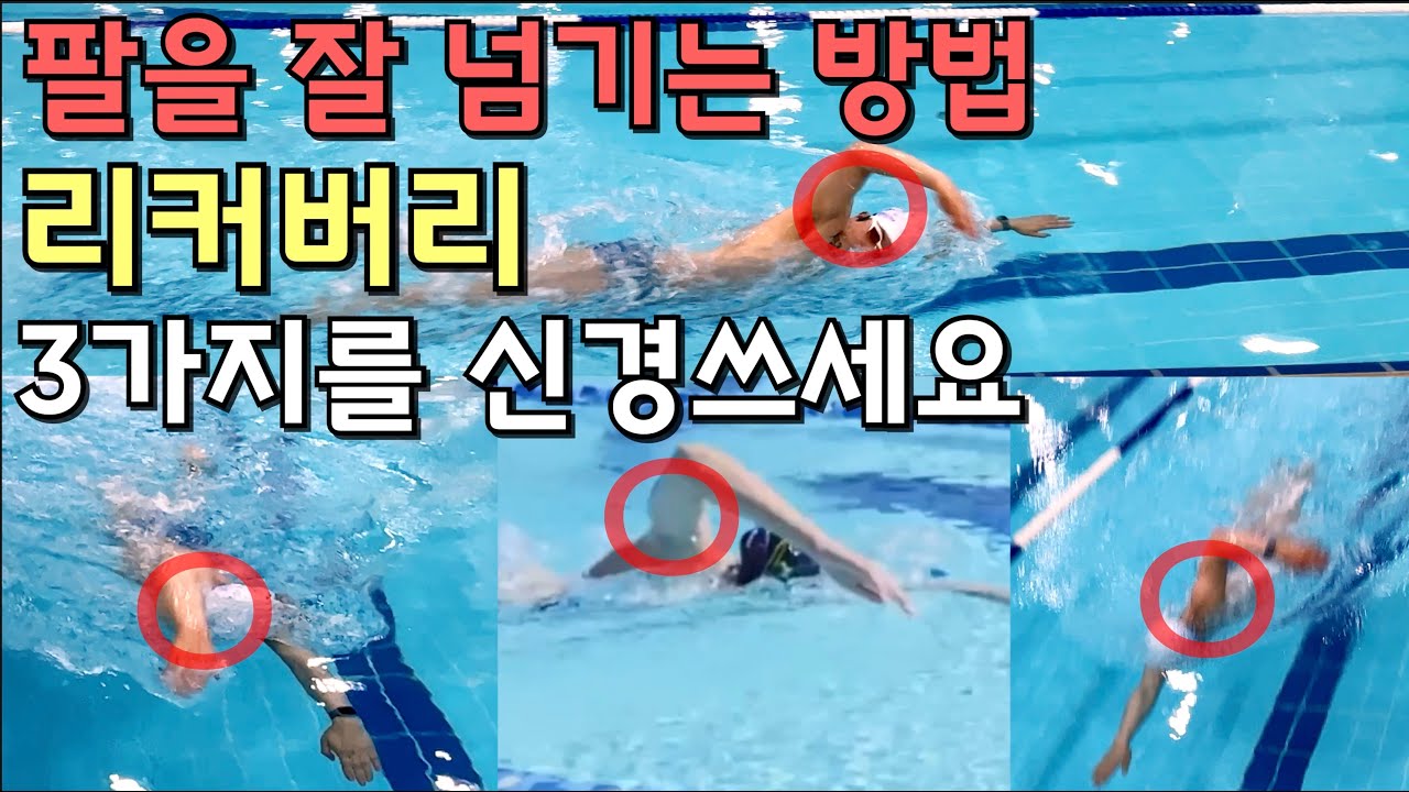 이거만 알면 리커버리 완벽 정리! / 자유형 스트로크 6편