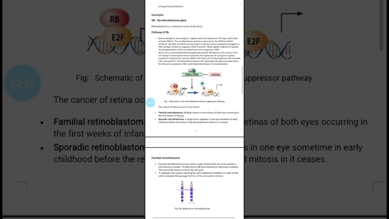 What are tumor supressor genes...