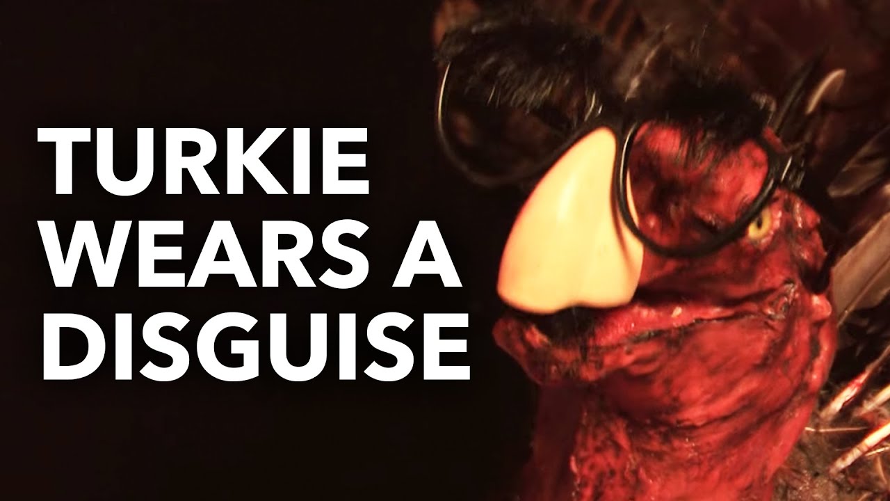 ThanksKilling Scene - Turkie At The Door In Disguise