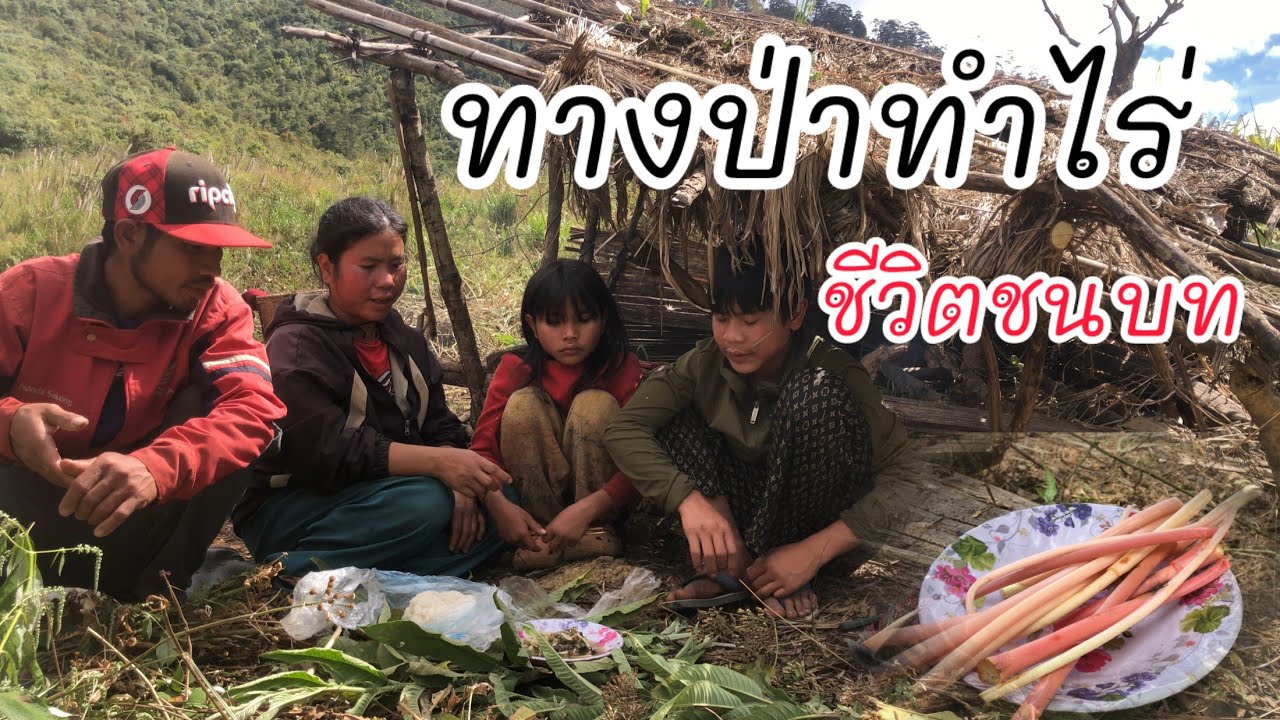 ทางป่าทำไร่ชีวิตชนบท--บ่าวต้อม