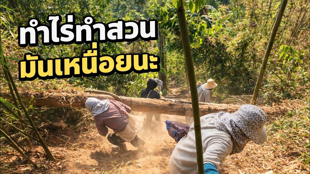 เหนื่อยก็ต้องทำครับ✌️✌️