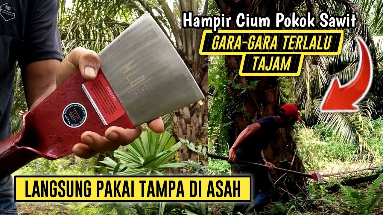 Merek Dodos Sawit Yang Bagus - Langsung Pakai Tanpa Diasah Harganya Rp 165.000
