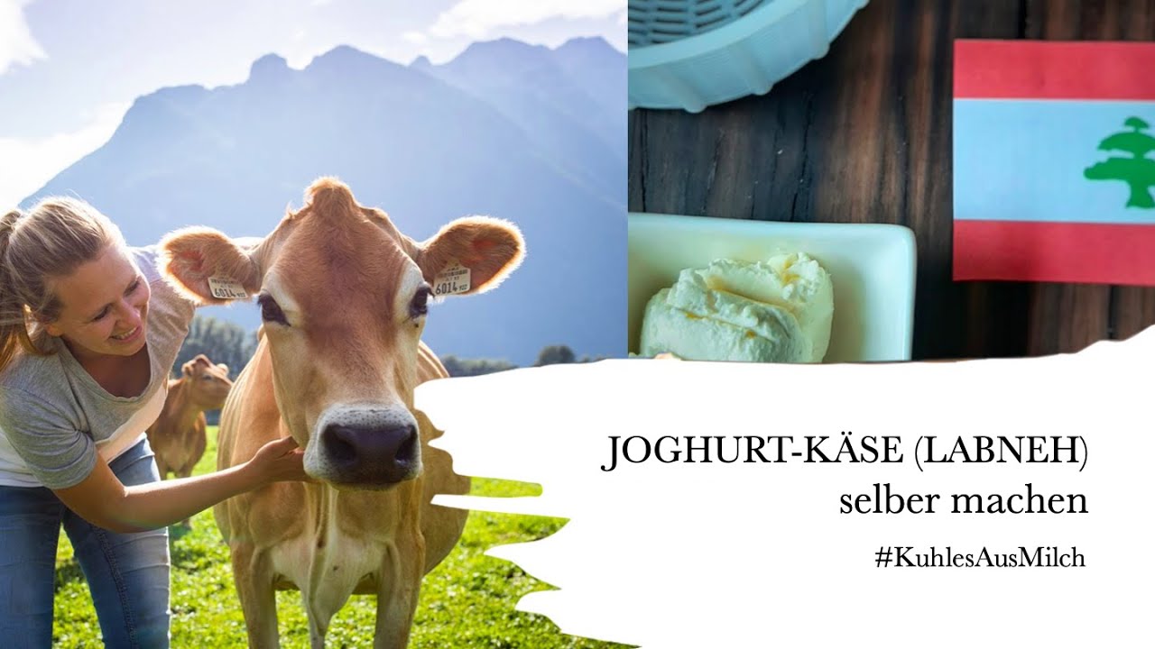 JOGHURT-KÄSE (LABNEH) selber machen/mit dem Joghurt um die Welt/ #KuhlesAusMilch/ Rezept 8