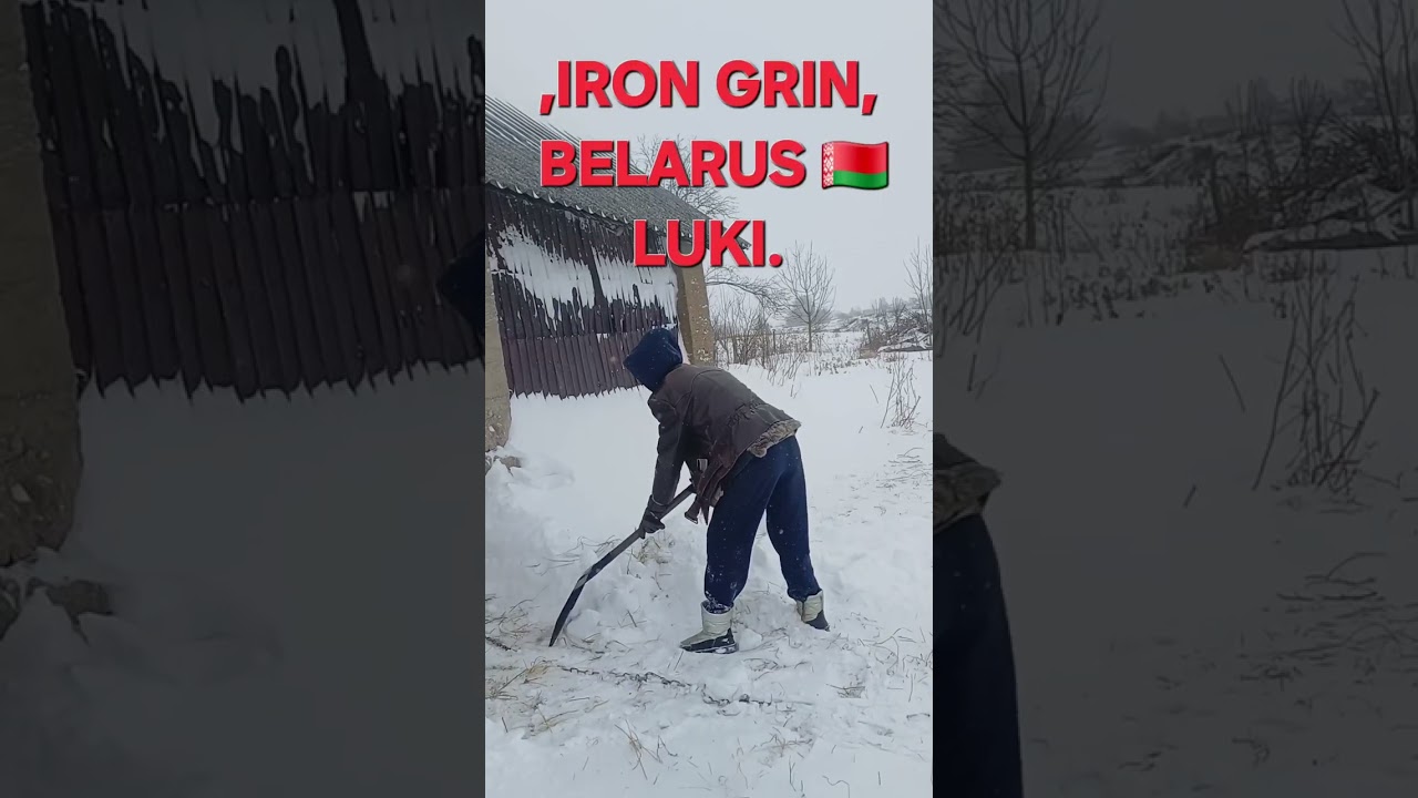 ЛОШАДЬ_ОВЧАРКА #немецкая_овчарка #суперсобака #животные#wolf # 