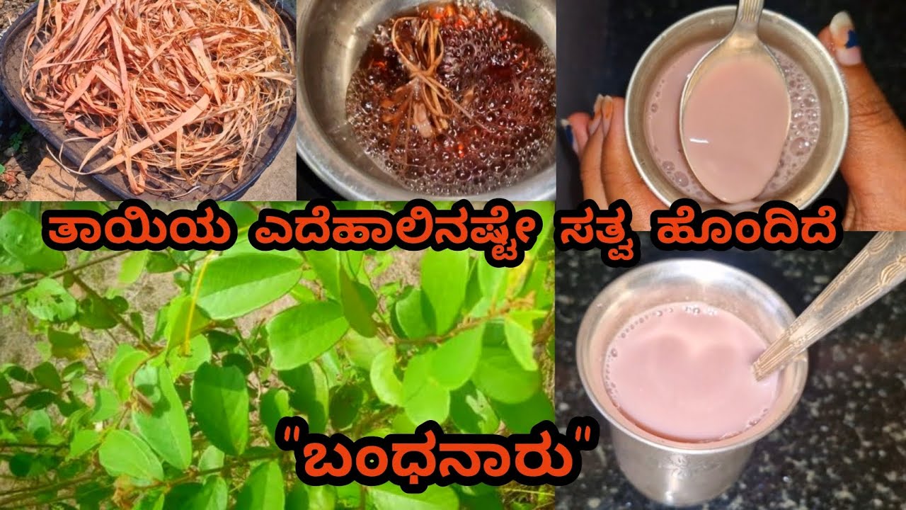 ಬಂಧನಾರು ಕಷಾಯ. Good for newborn babies growth. #kannadavlogs #newbornbaby #formulamilk #babygrowth 