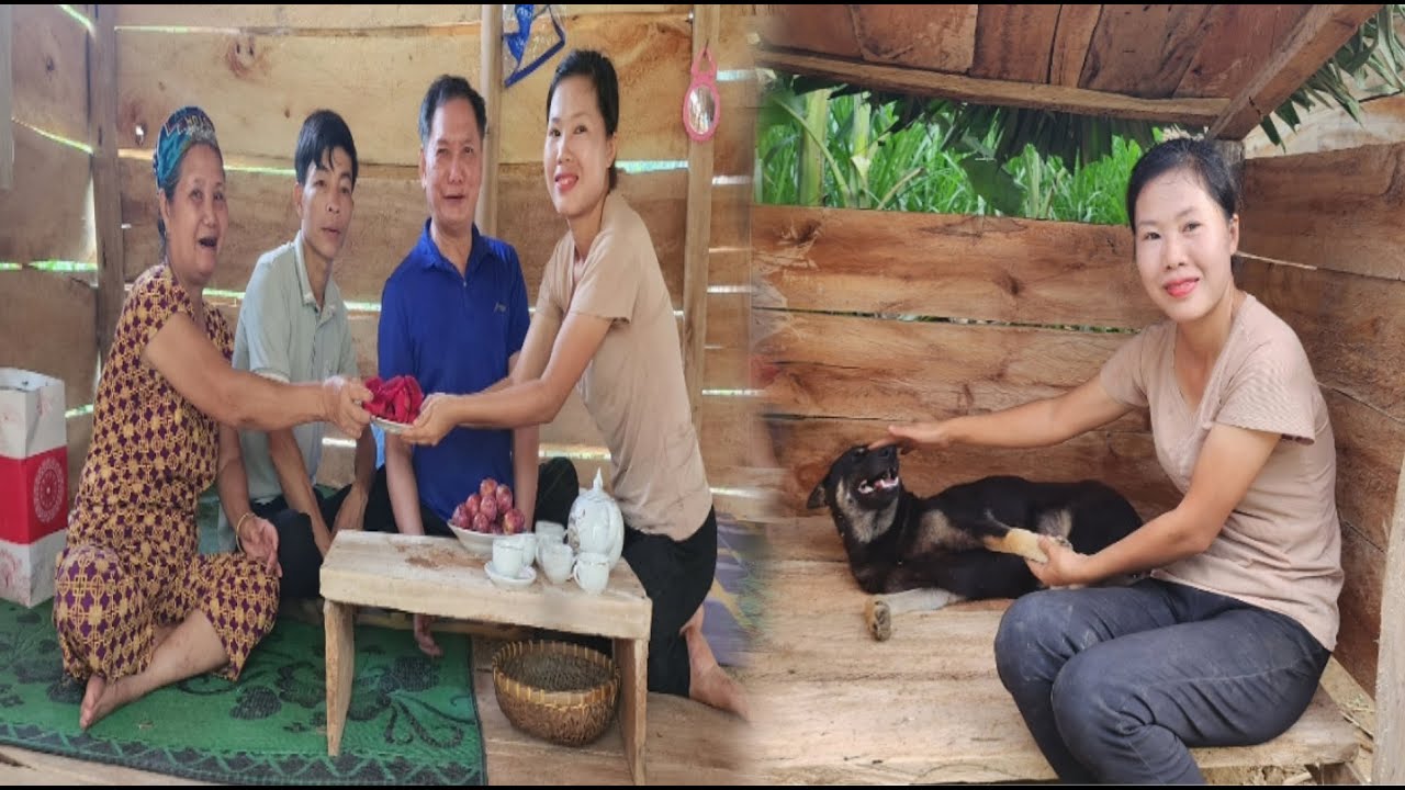 Completing the wooden house for the dog 