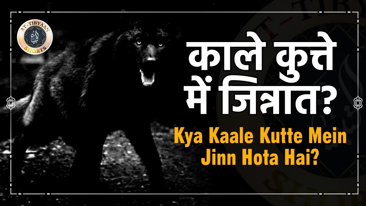 Kya Kala kutta mein Jinnat hota hai | 21 | | Dr. Hafiz Abdul Muqeet Madani | At Tibyaan TV