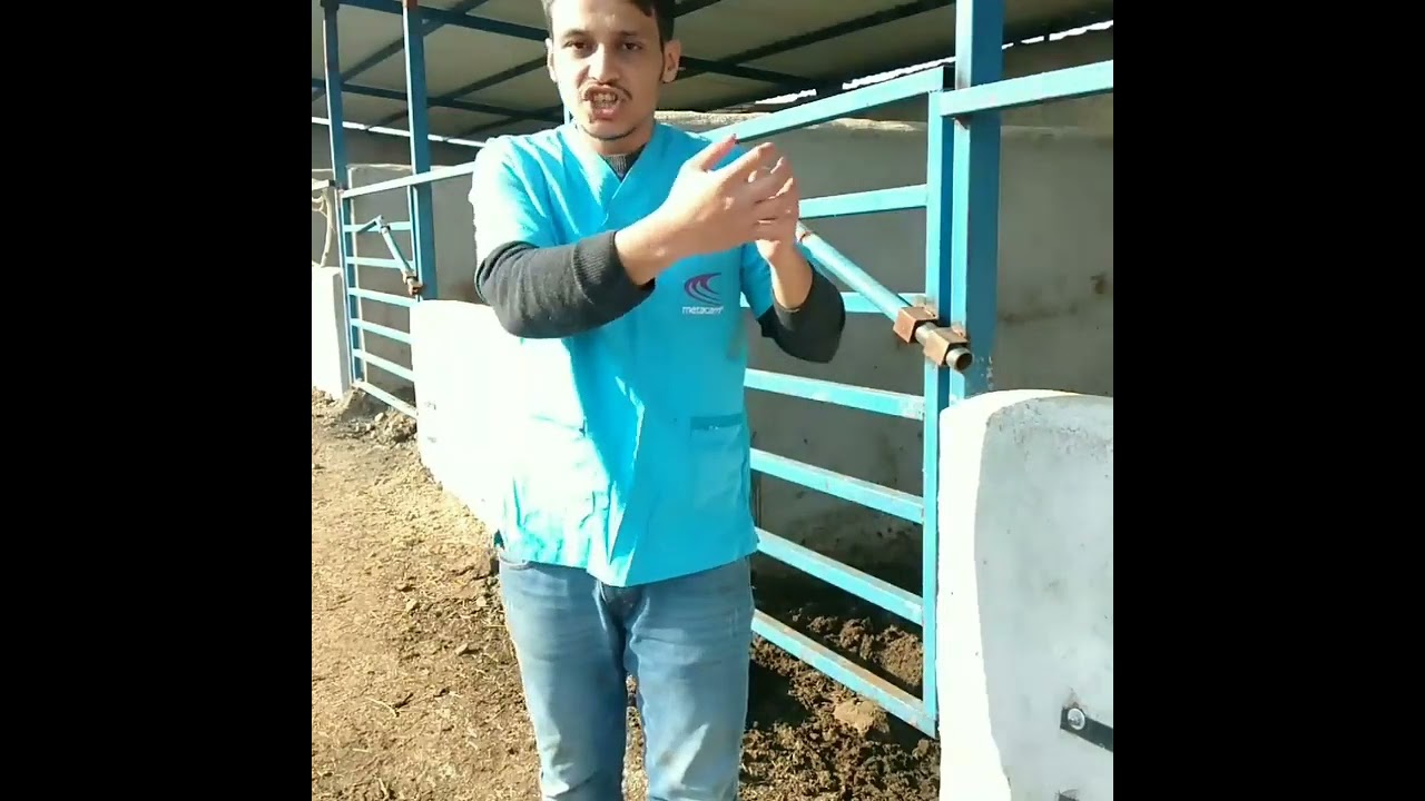 Hipokalsemi mi o ne ki? 🤔🤔