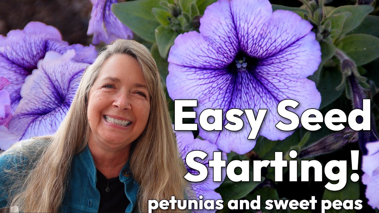 Starting Petunias from Seed, Greenhouse Tour and Prepping Sweet Peas