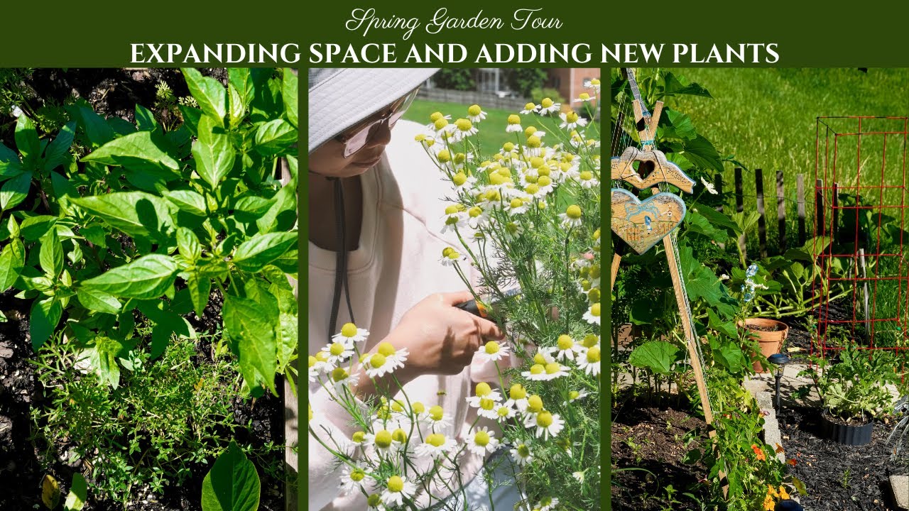 Spring Garden Tour/ Expanding and Adding New Plants to our Cottage Garden/ 4K & ASMR - Wabi Cottage