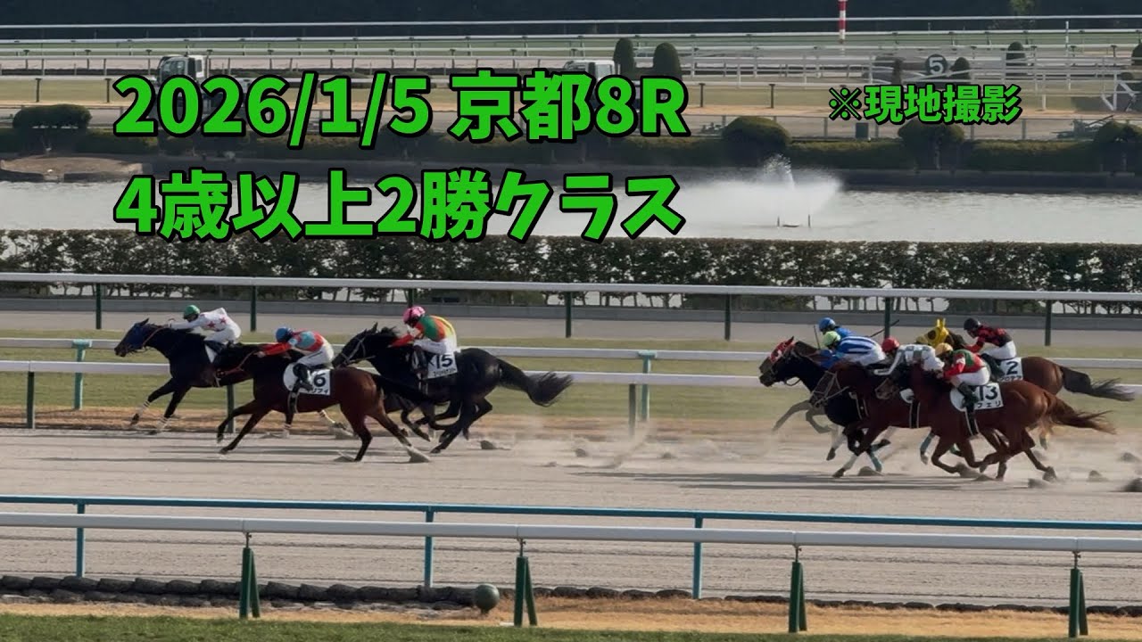 2026/1/5 京都8R 4歳以上2勝クラス #イリフィ #西村淳也