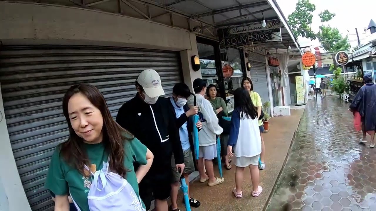 26년 2월 보홀여행