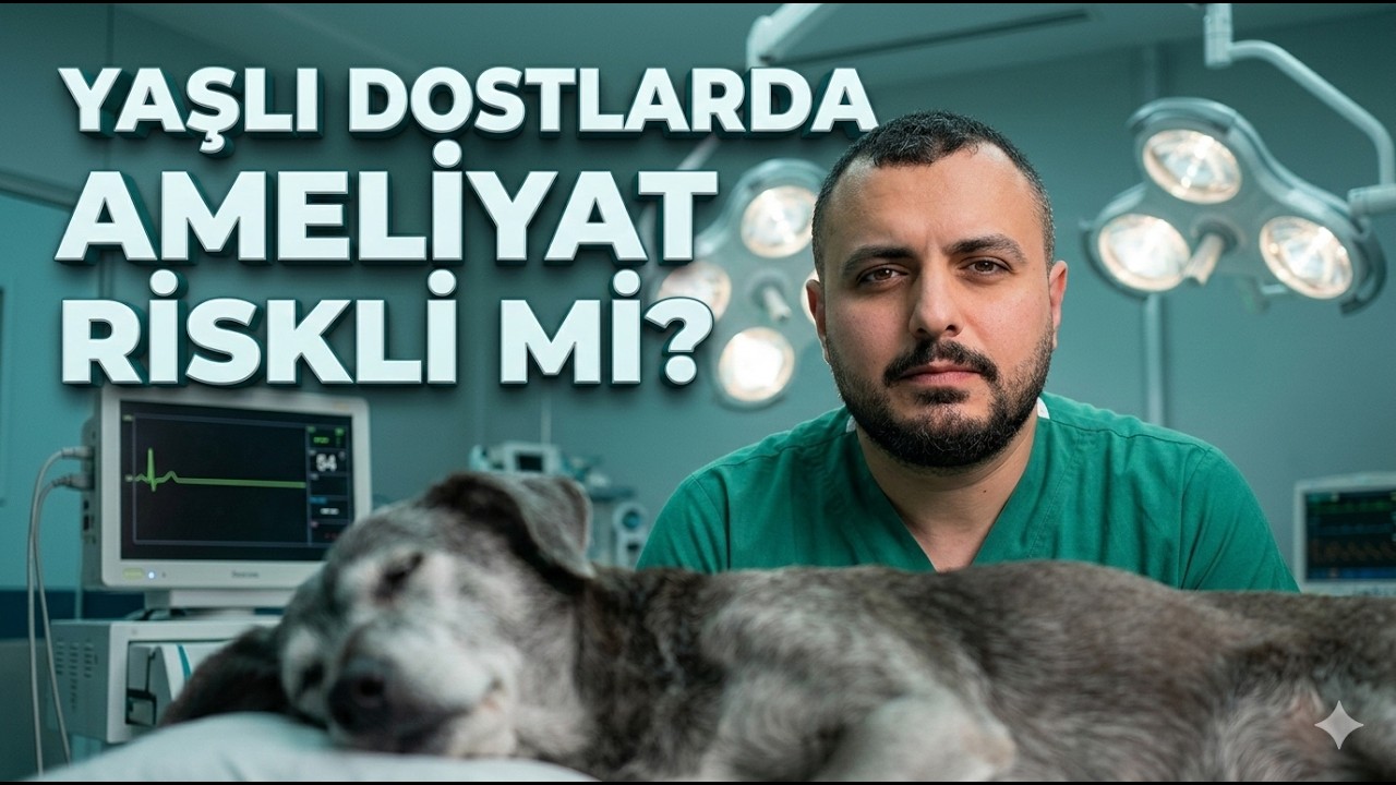 İleri Yaş Evcil Hayvanlarda Anestezi ve Tümör Operasyonu