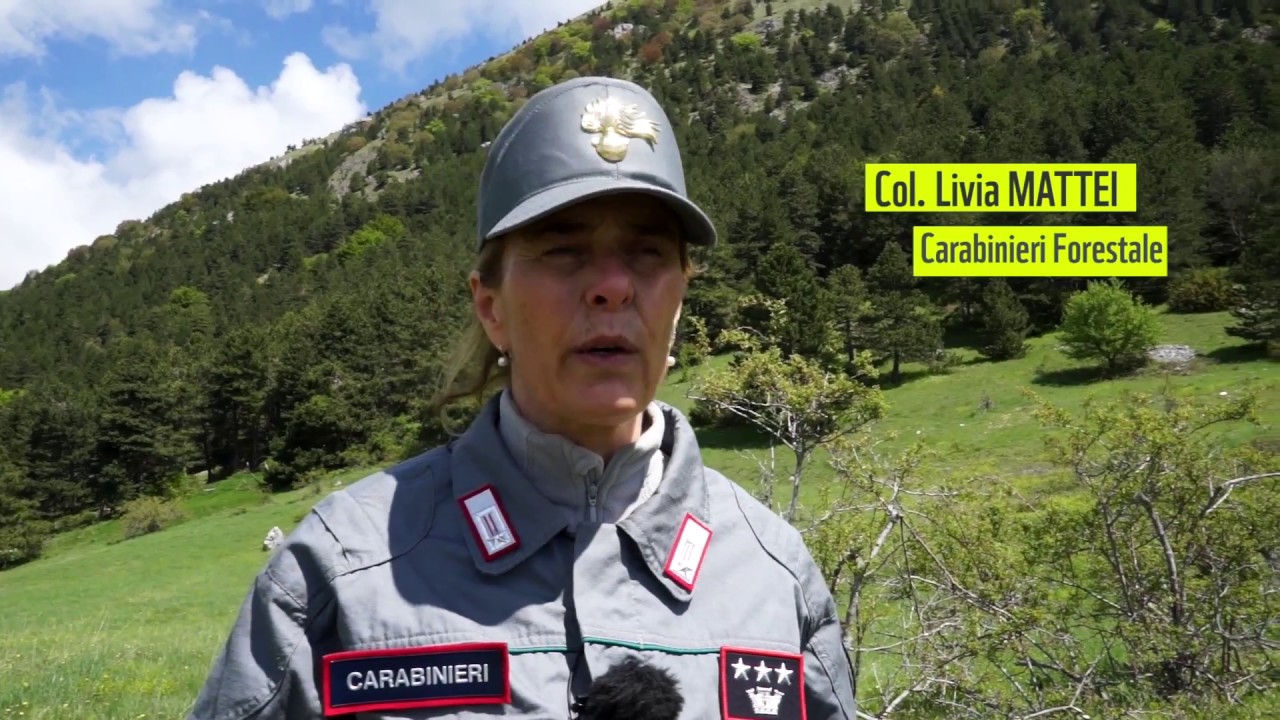 Lavorare sulla conservazione: la parola ai carabinieri forestali