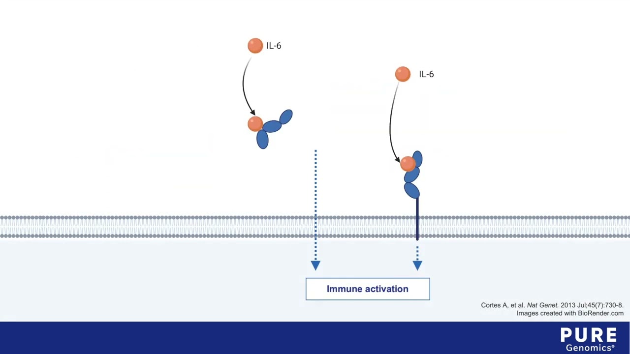 IL-6R Trait - Pure Encapsulations