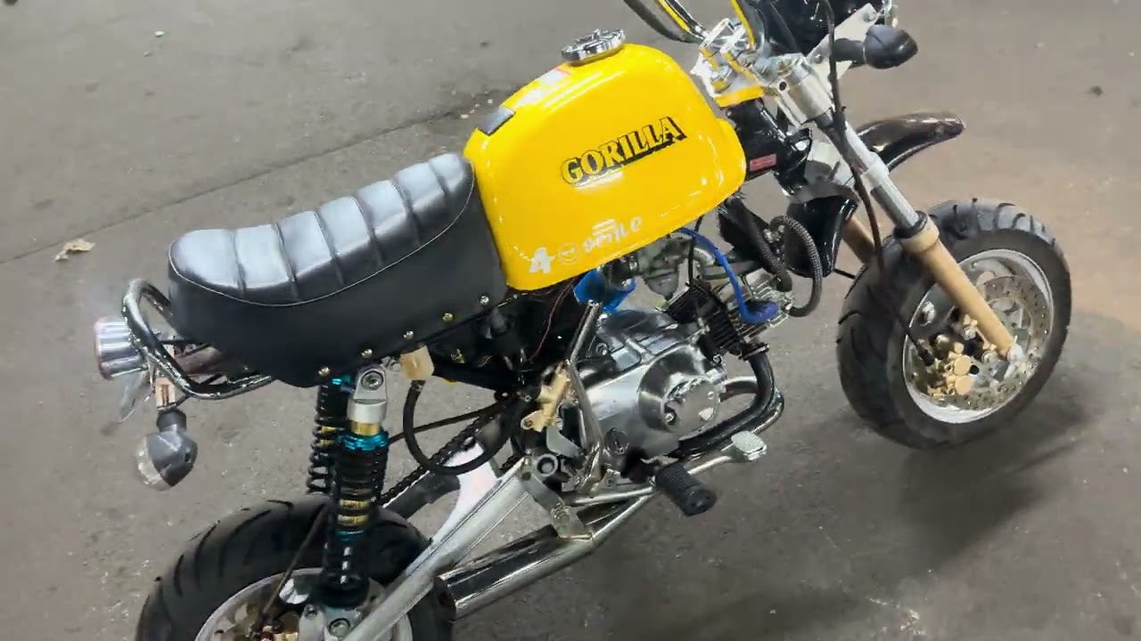 GOLILLA