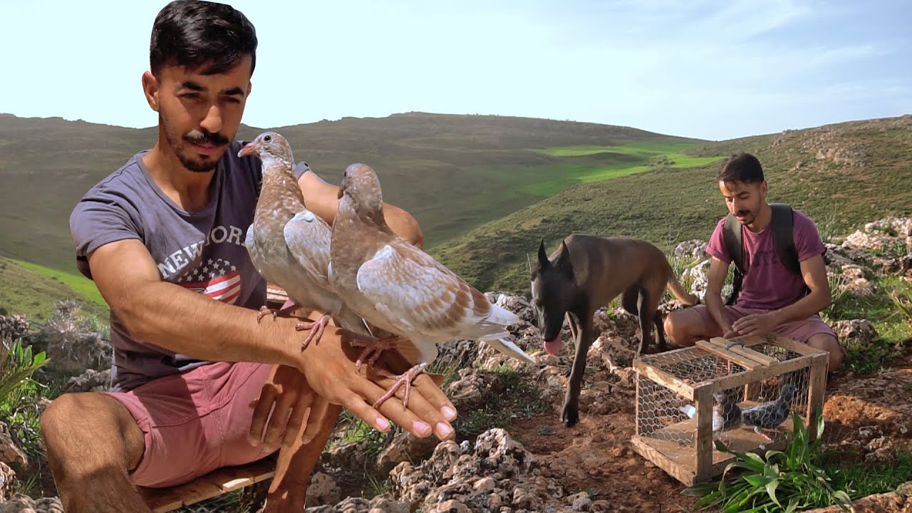 طلقت البسبوس و سكاي من الجبل