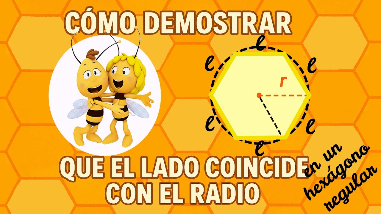 Las abejas lo saben: ¿Por qué el lado es igual que el radio en el hexágono regular?
