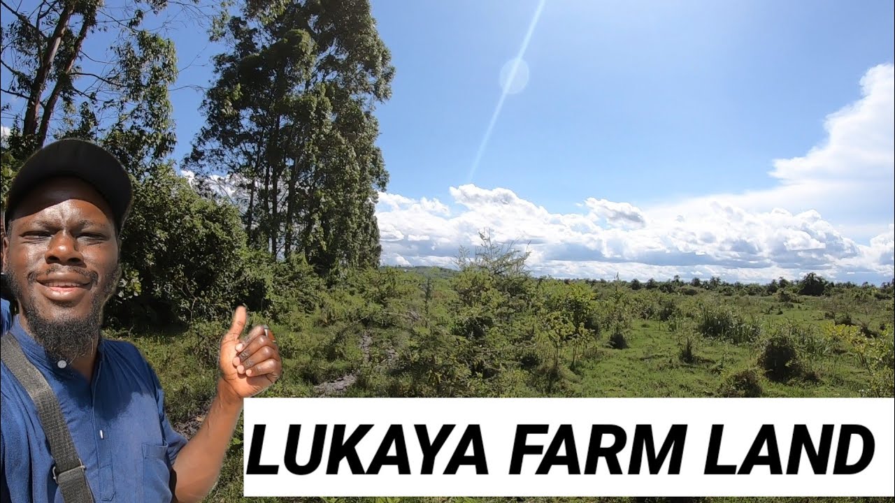 BUYING LAND IN UGANDA - FARM LAND FOR SALE IN LUKAYA  62 ACRES 15 KM OFF THE MAIN ROAD