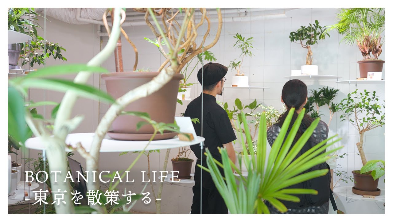 【店舗巡り】植物好きが楽しめる素敵な東京のお店をご紹介｜はいいろオオカミ+花屋 西別府商店｜REN｜DENDA Flowers & Plants｜OLINA