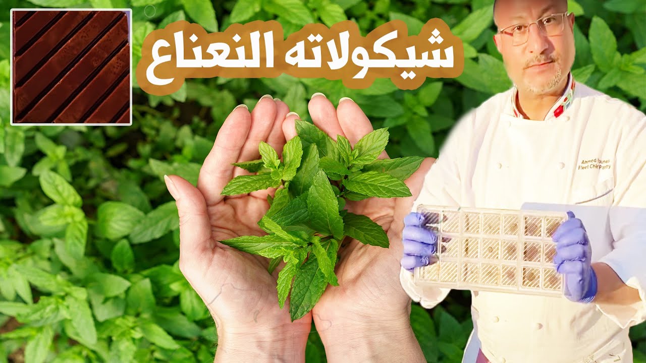 شيكولاته بالنعناع المنعشة | Chocolate after 8