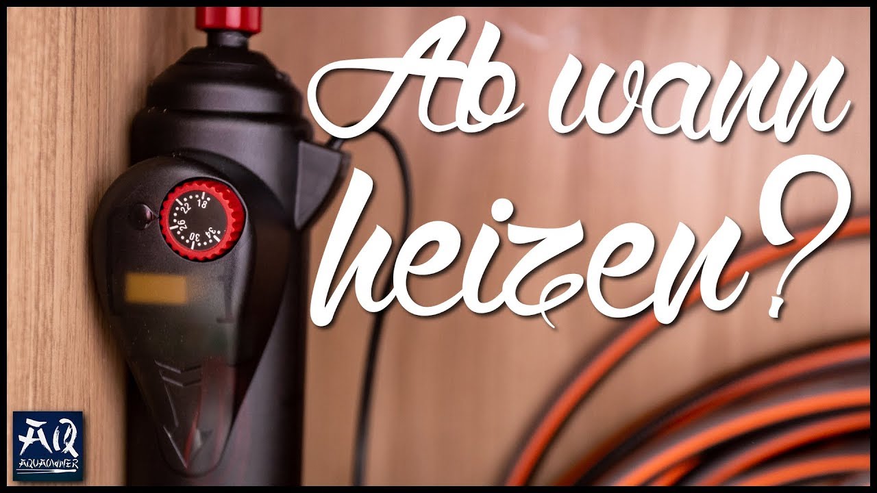 Musst du dein Aquarium beheizen? | AquaOwner