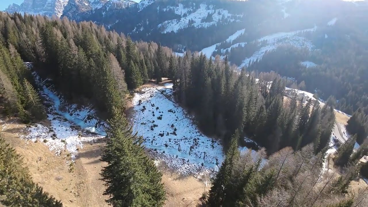 Nel Bosco di Santa Fosca - Selva di Cadore