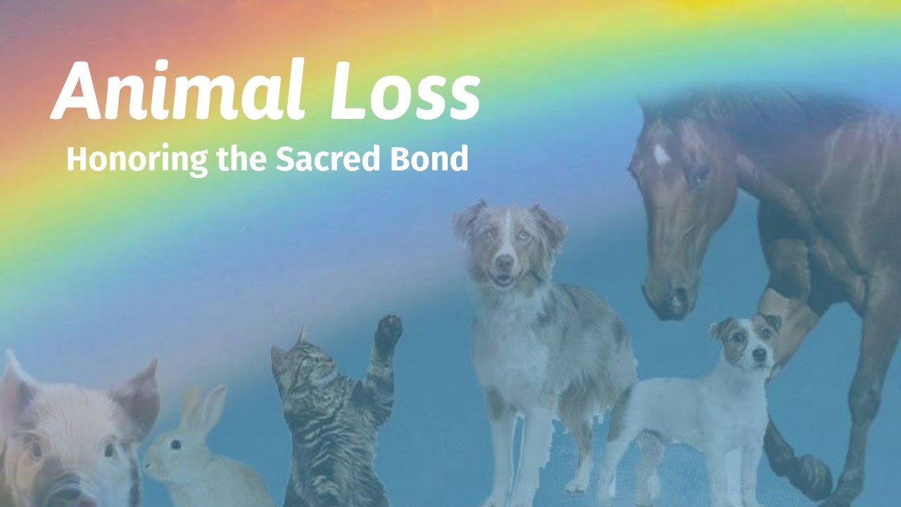 Animal Loss