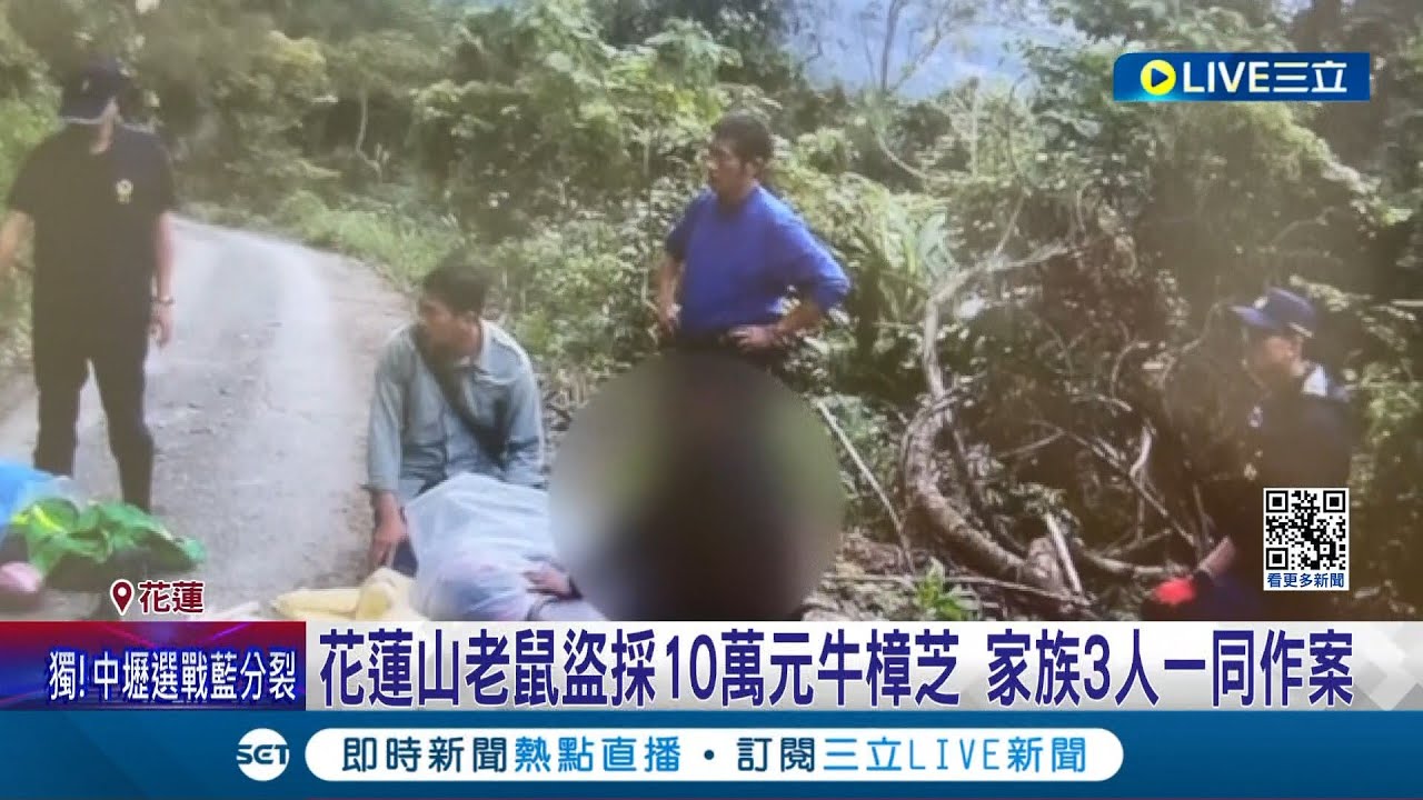 花蓮山老鼠盜採10萬元牛樟芝 家族3人一同作案 累犯遭逮後辯稱