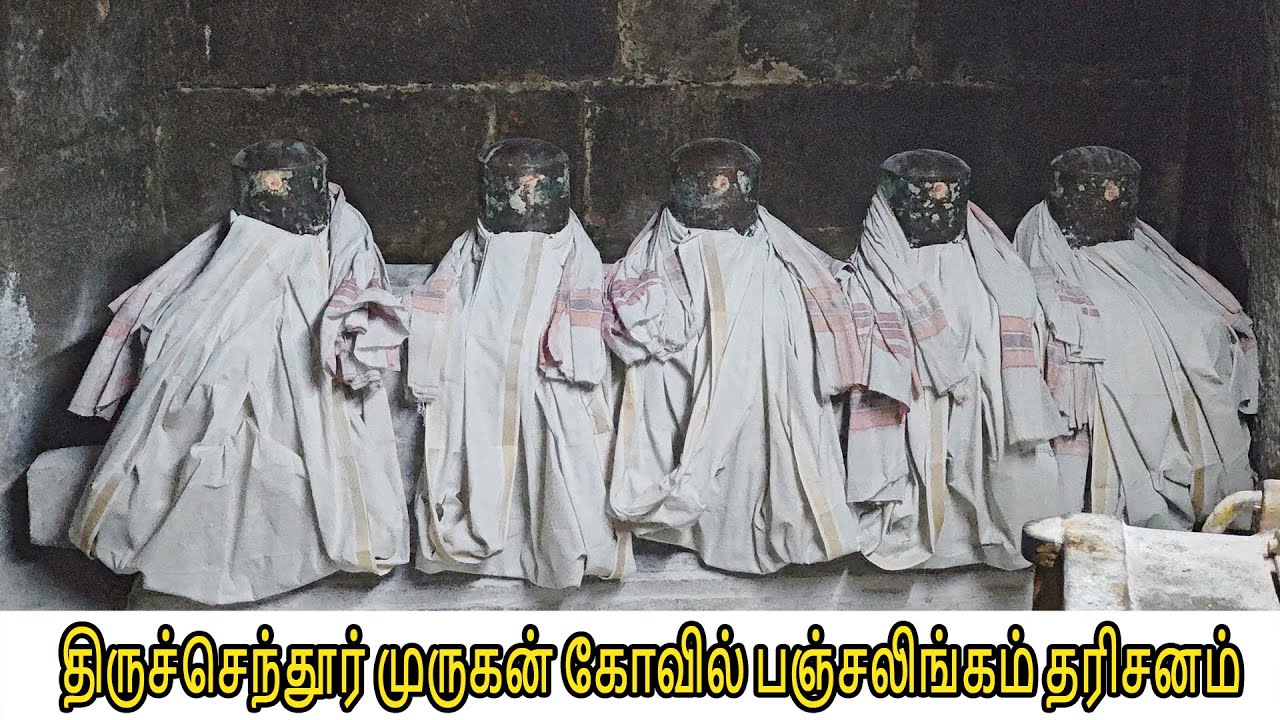 RARE VIDEO:Thiruchendur Temple Panchalingam |  திருச்செந்தூர் முருகன் கோவில் பஞ்சலிங்கம் தரிசனம்